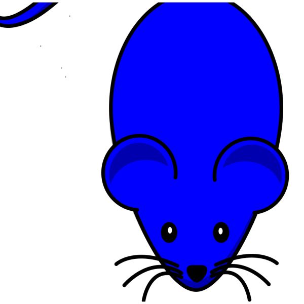 Blue Mouse Png Svg Clip Art For Web Download Clip Art Png Icon Arts