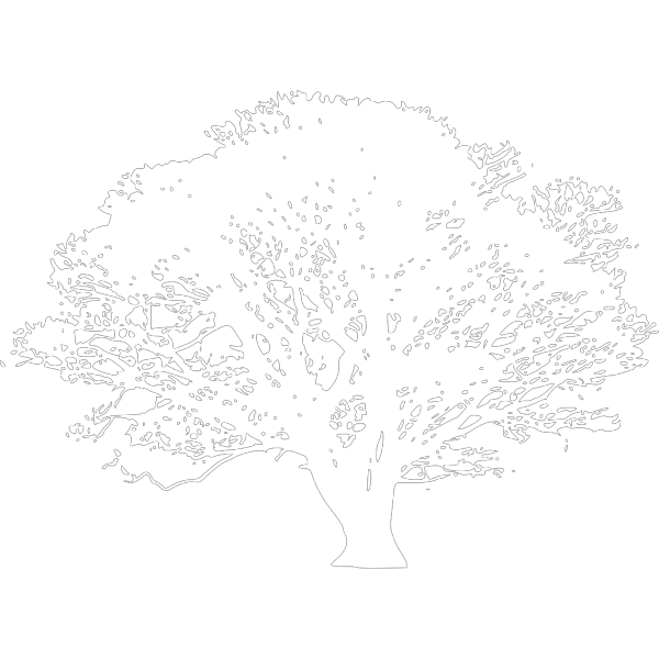 Black And White Tree PNG, SVG Clip art for Web - Download Clip Art, PNG