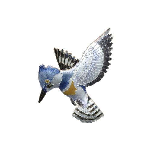 Kingfisher Image Transparent clipart free download