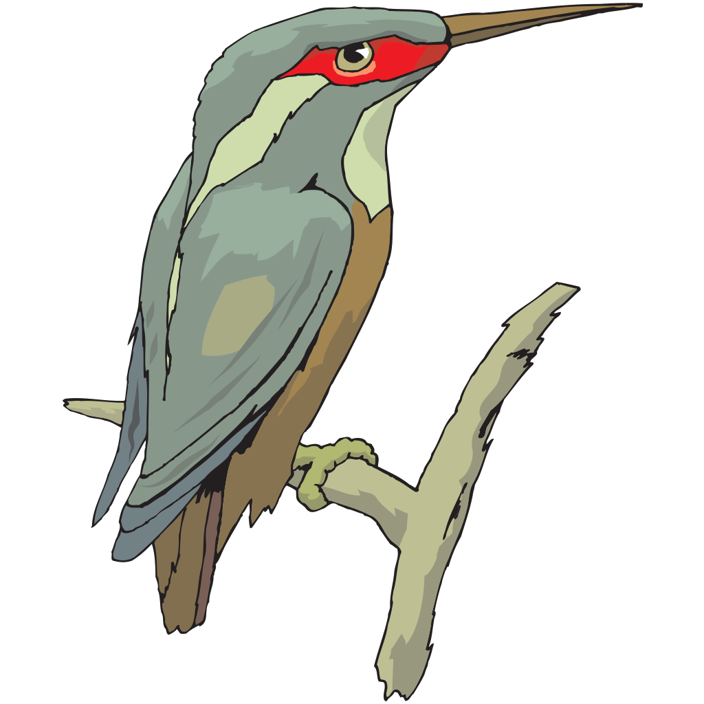 Perched Kingfisher Bird clipart free download