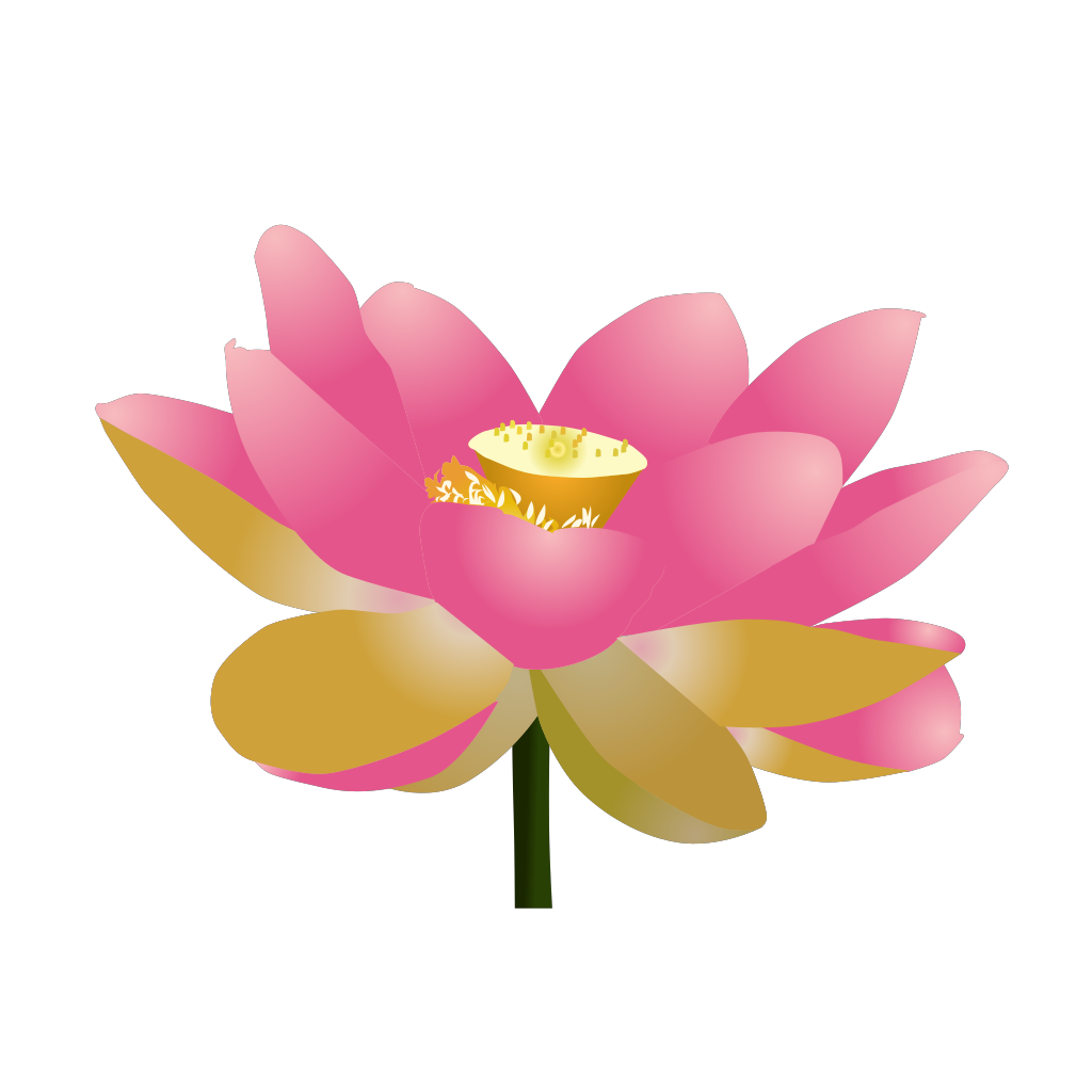 Yoga Lotus Pink Flower clipart free download