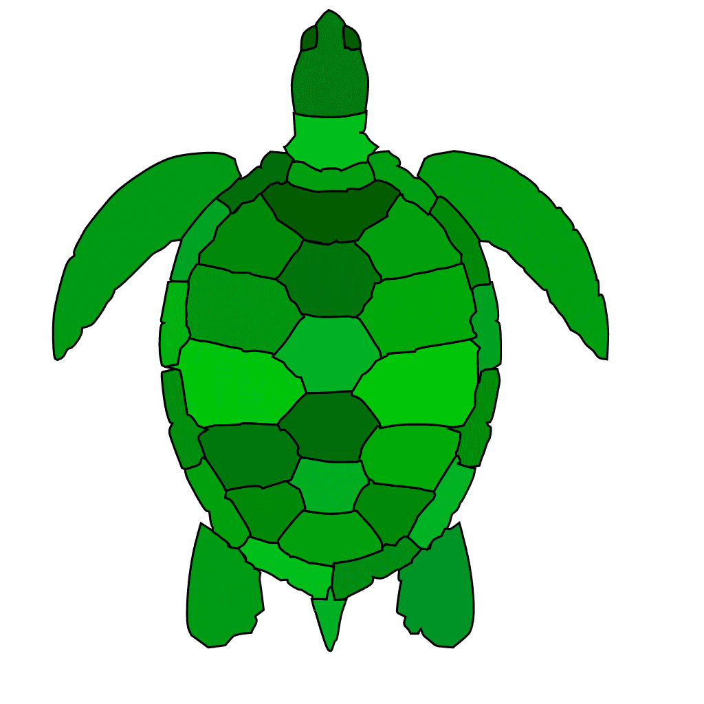 Abstract Green Turtle