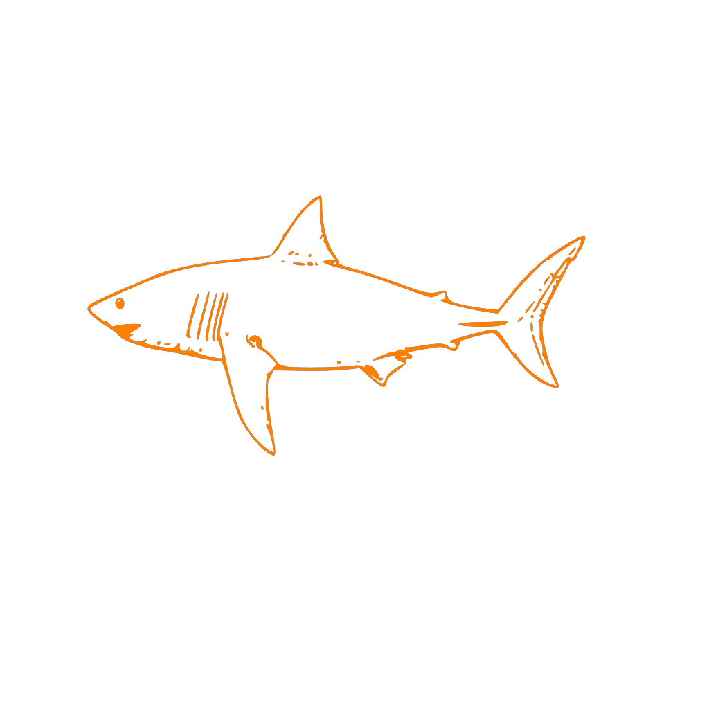 Abstract Shark Animal Outline