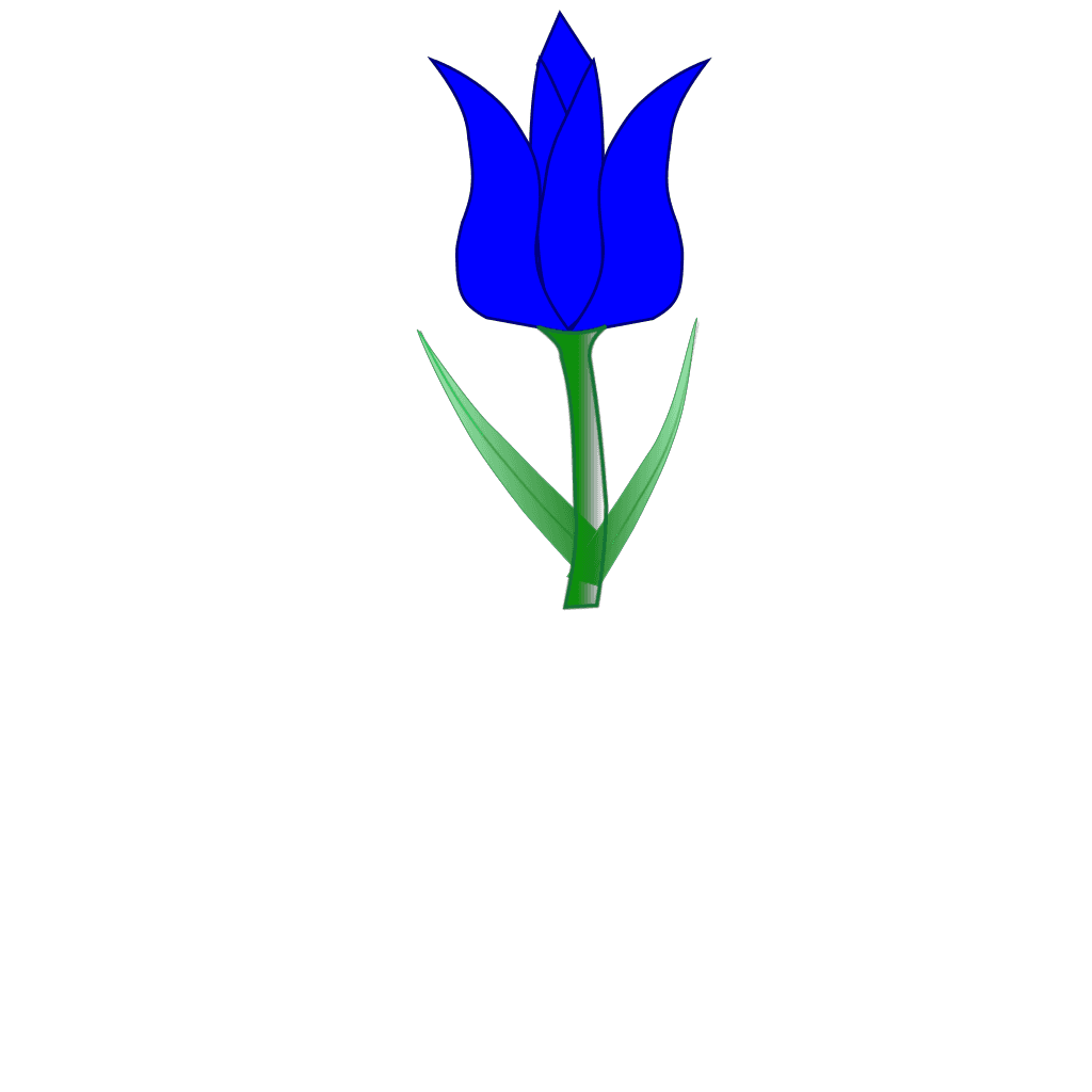 Blue Tulip Flower