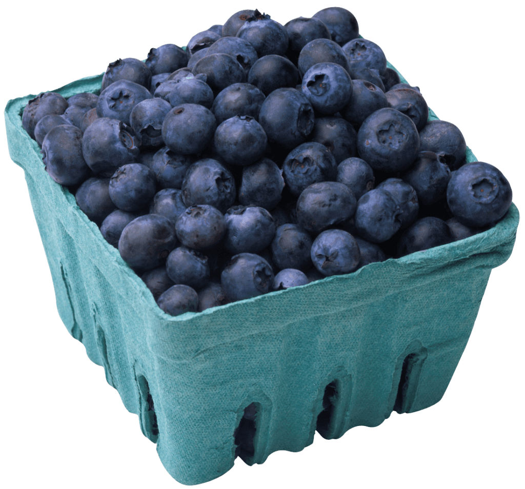 Blueberry Fruit Food