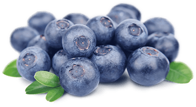 Blueberry Fruit Photography HD