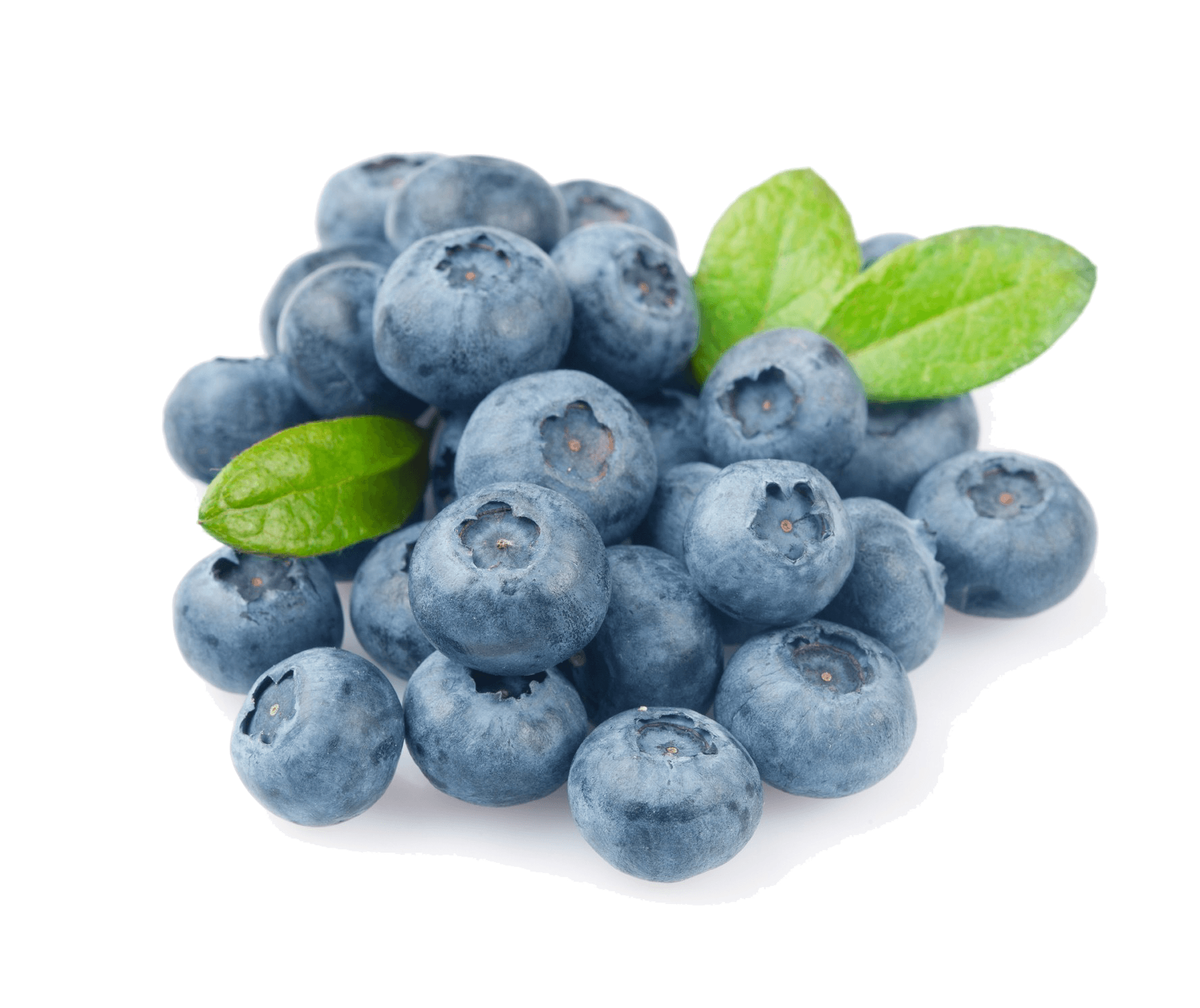 Blueberry Photography HD Image