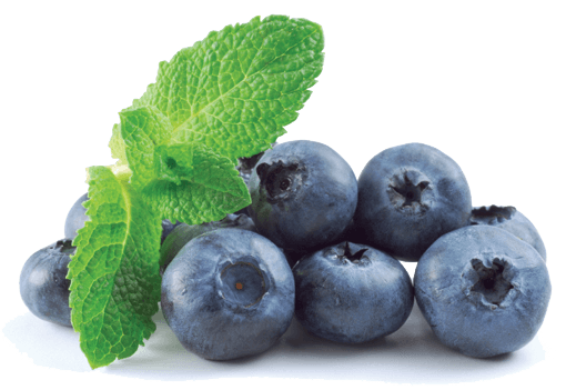 Blueberry Transparent Image Fruit