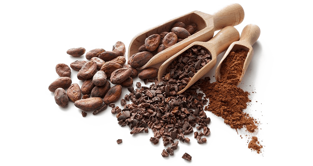 Cocoa Beans Clipart