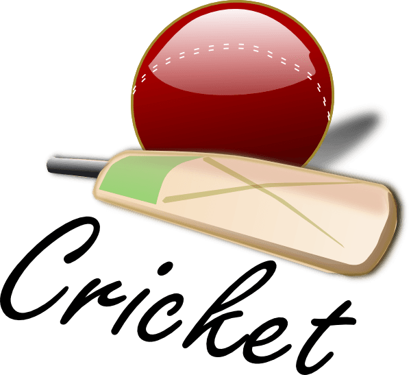 Cricket Bat Ball Gaming