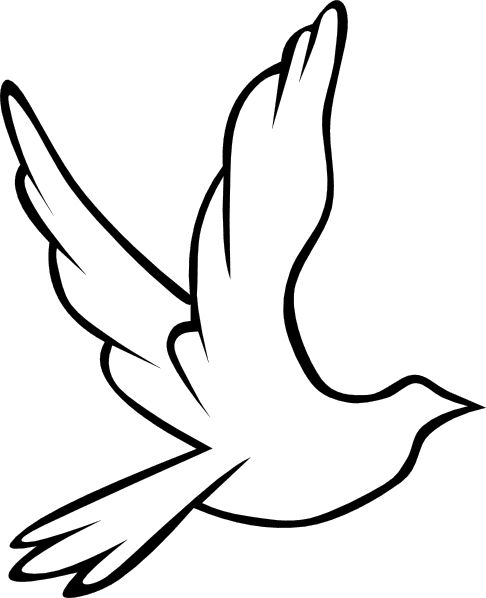 Flying Dove Animal