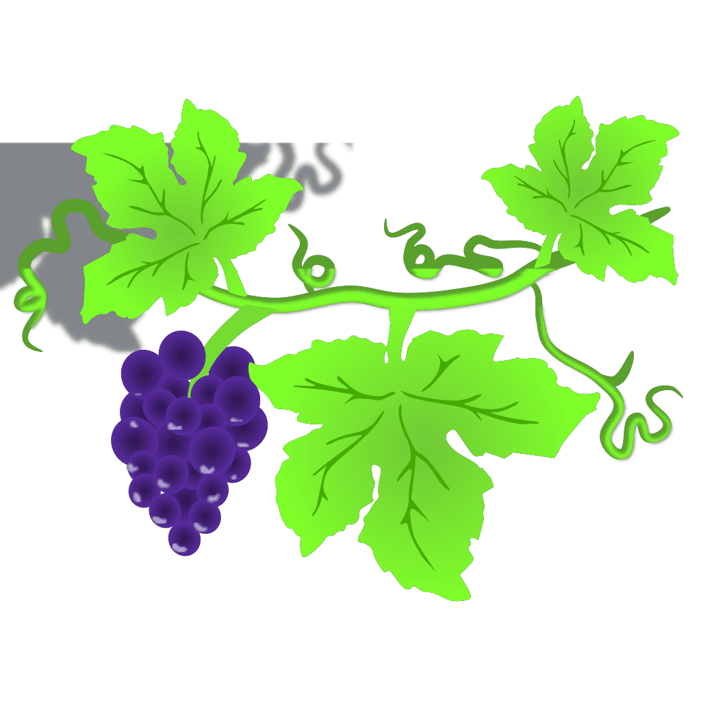 Grape Vine Fruit Clipart