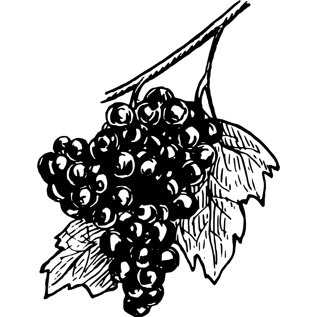 Grapes Fruit Clipart for Wine