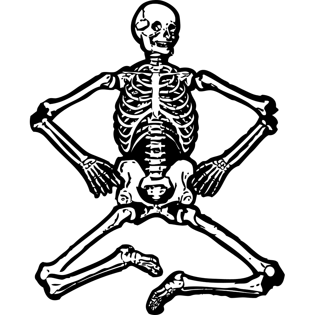 Human Skeleton Png Clipart