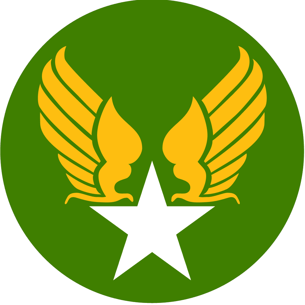 Military Airplane logo