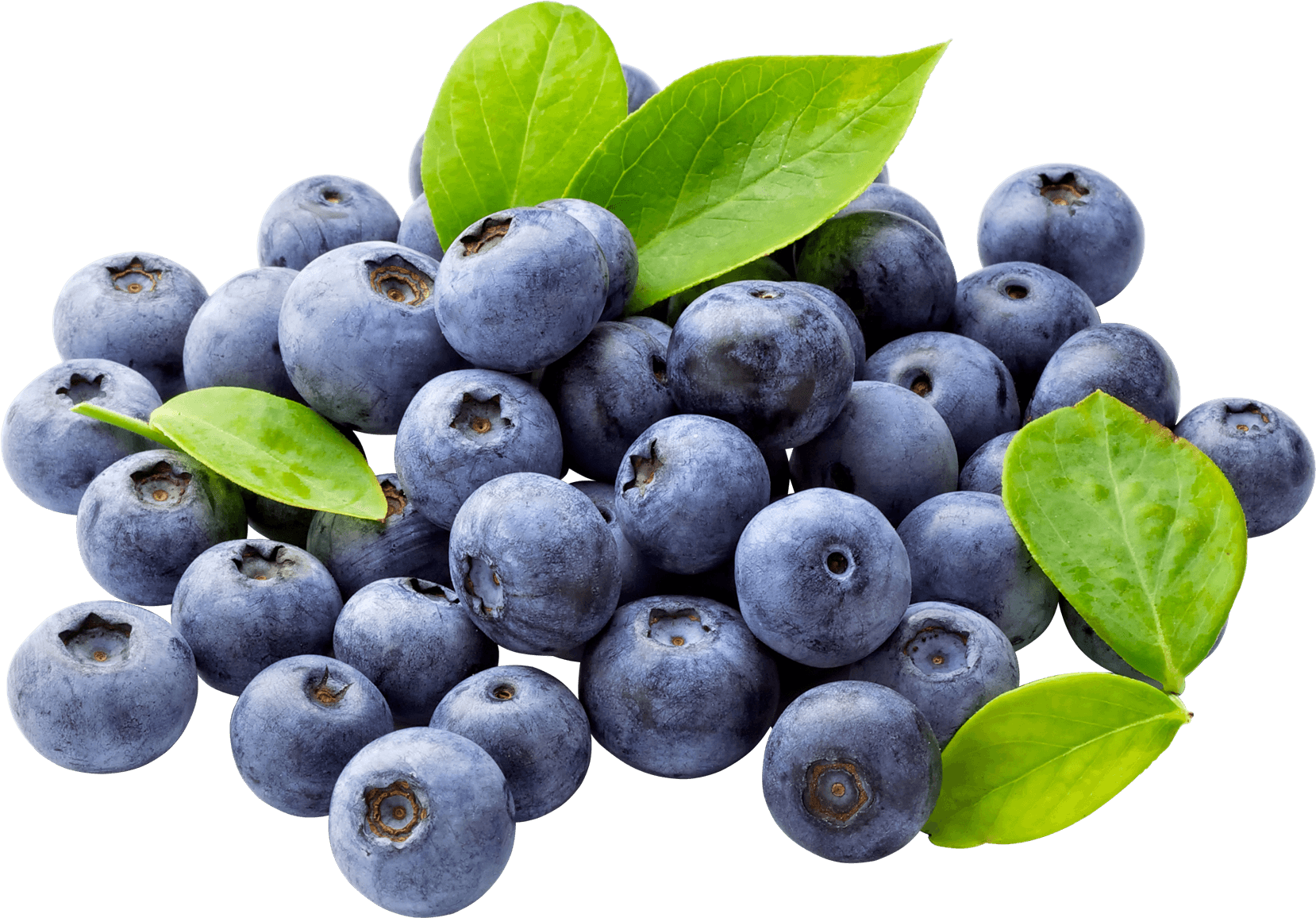 Natural Fruit Blueberry Download