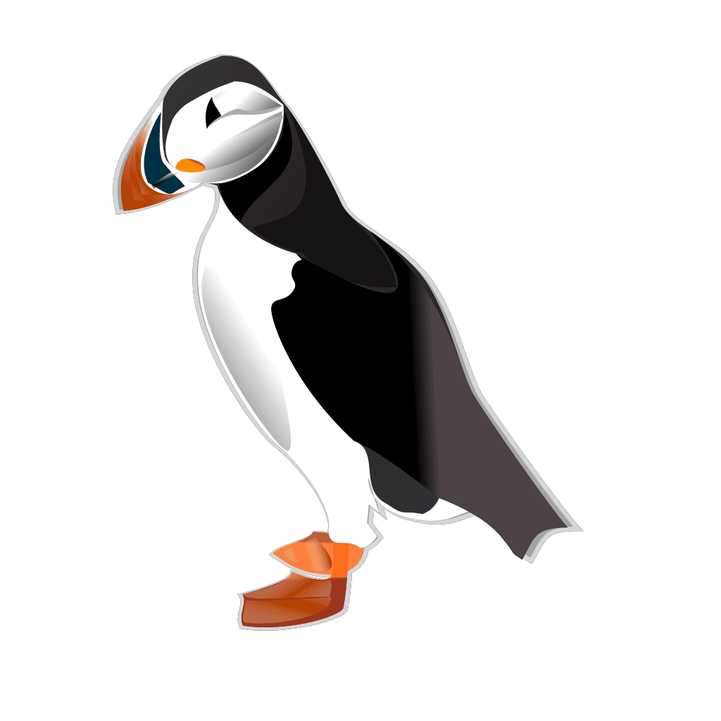 Puffin 4K Bird