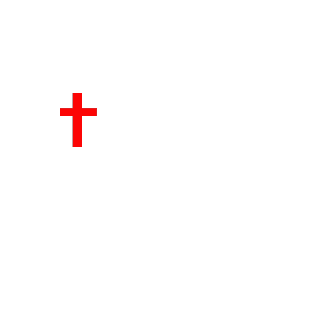 Red Cross Icon Plus