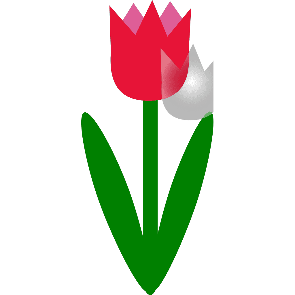 Red Green Tulip Flower