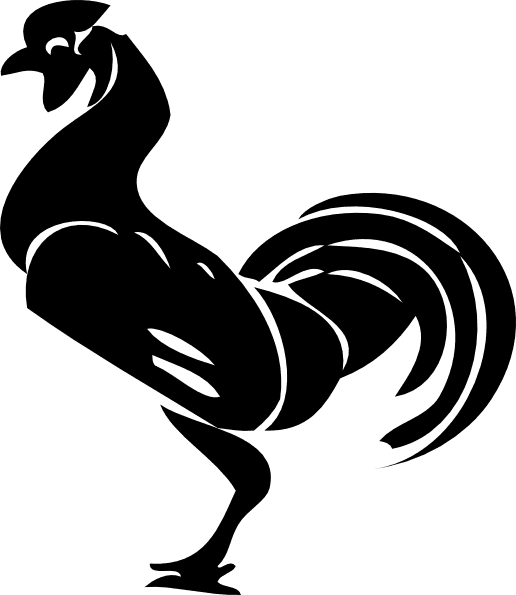 Rooster Bird