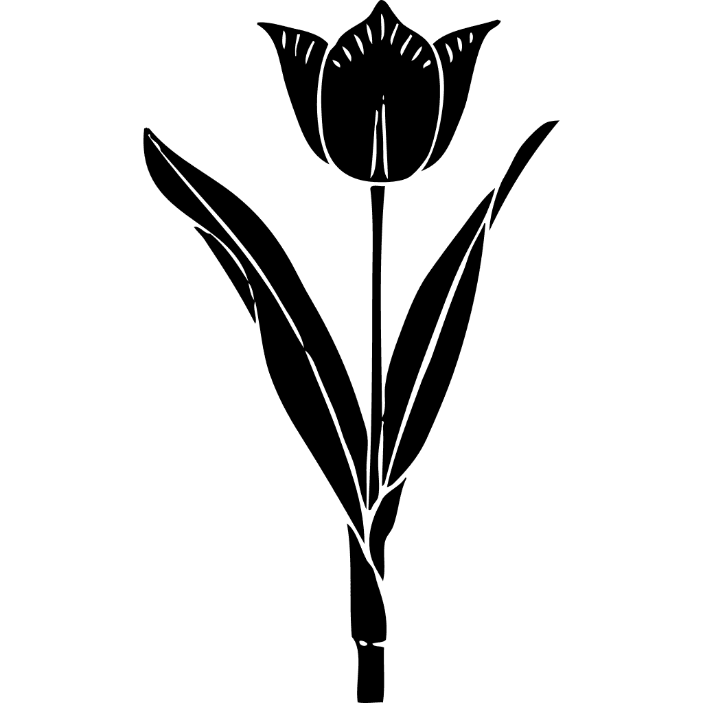 Tulip Silhouette Flower