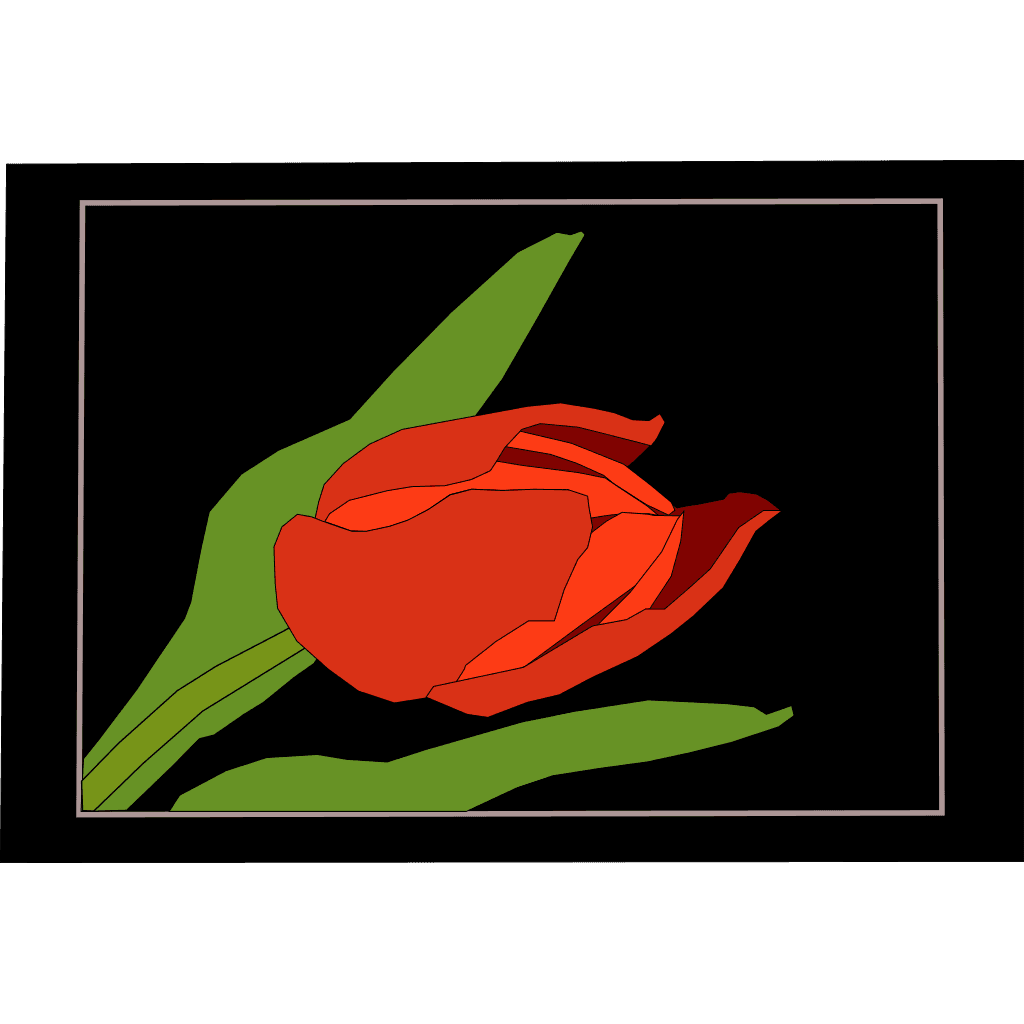 Tulipan Flower Frame Black Background