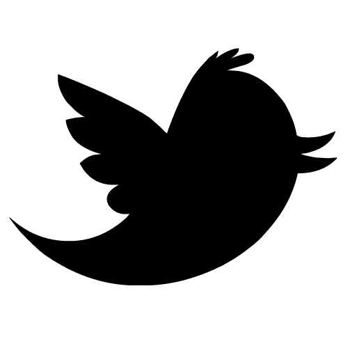 Twitter Black Bird Icon