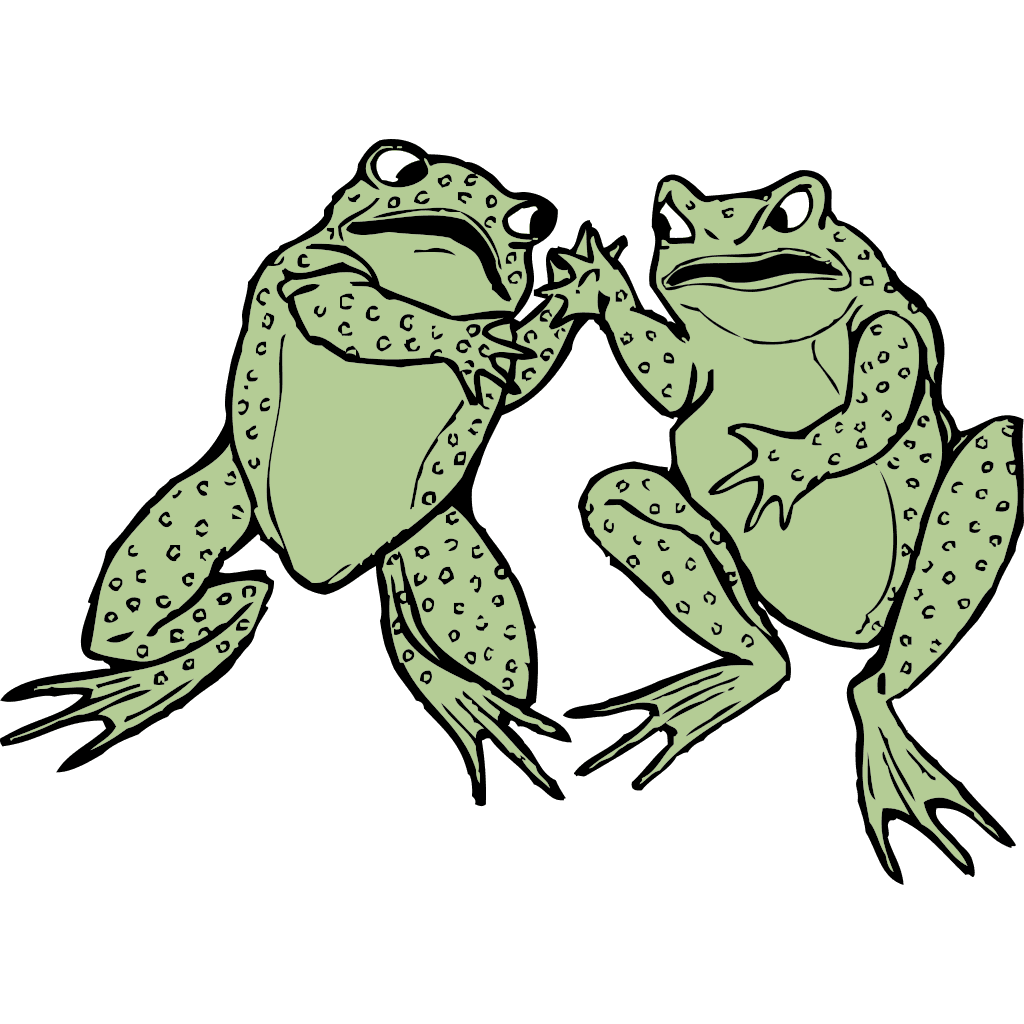 Two Frogs Funny Game