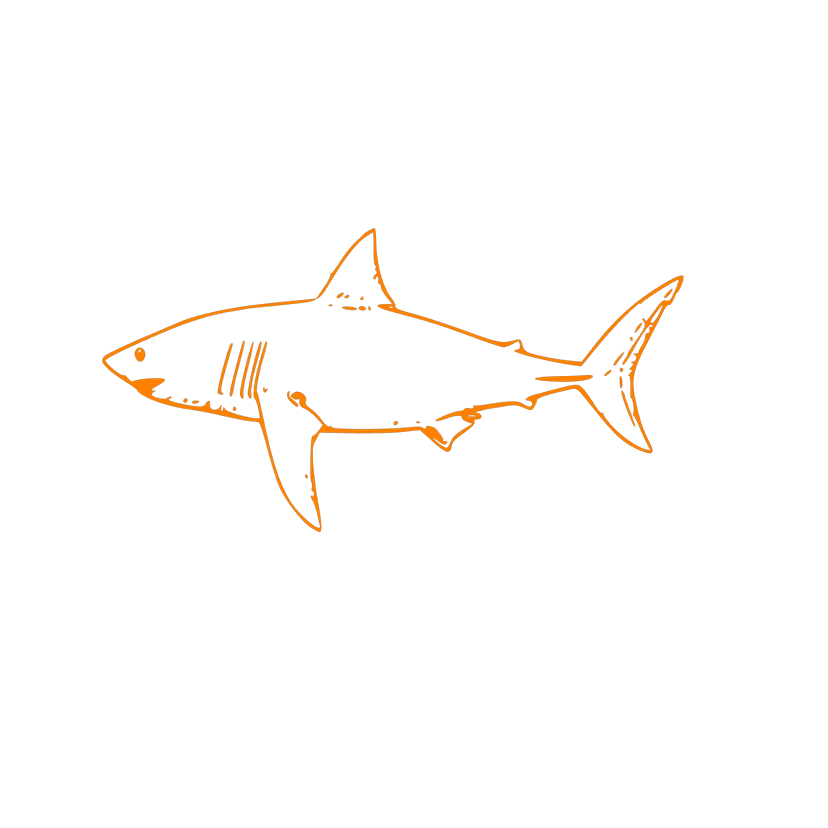 Abstract Shark Animal Outline clipart preview