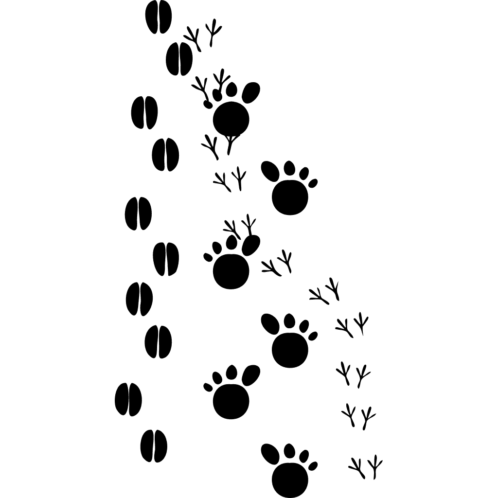 Animal Prints Silhouette clipart preview