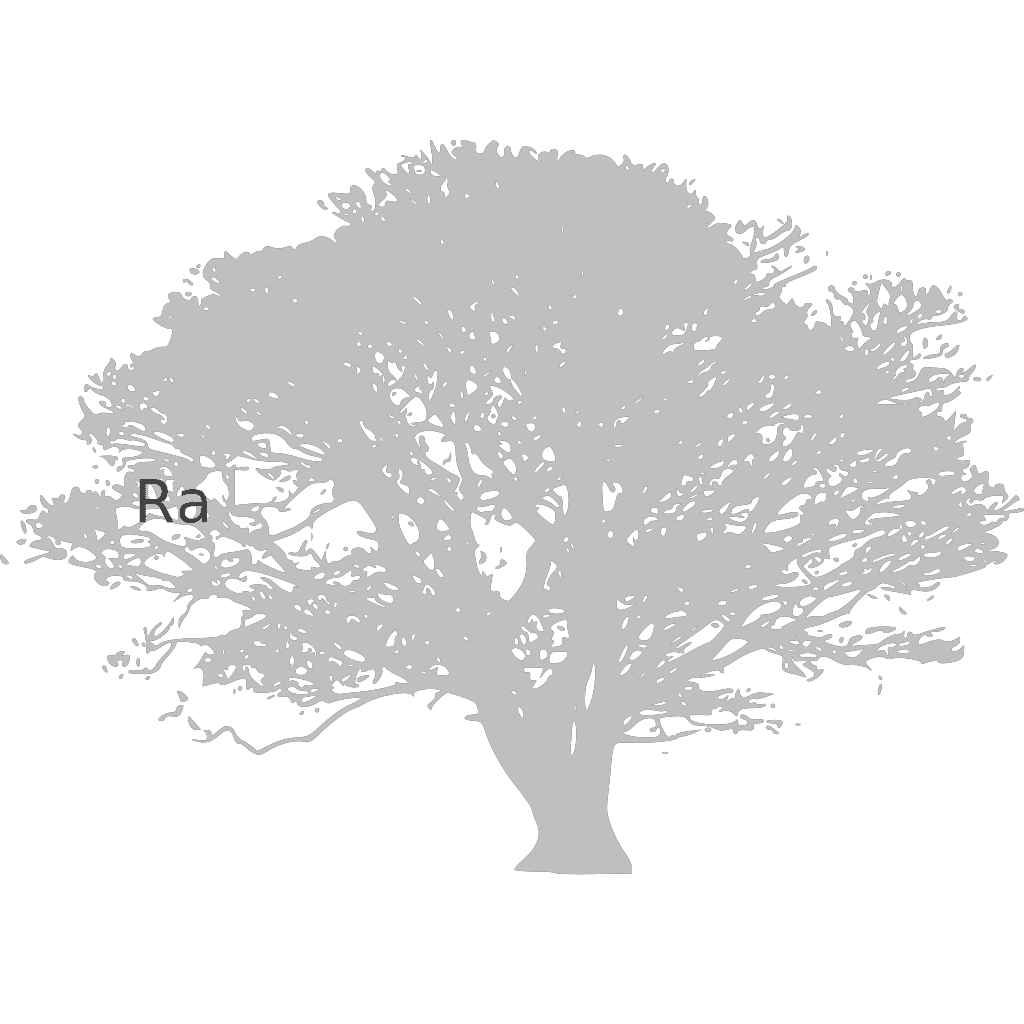 Stand Tree Vine Silhouette clipart preview