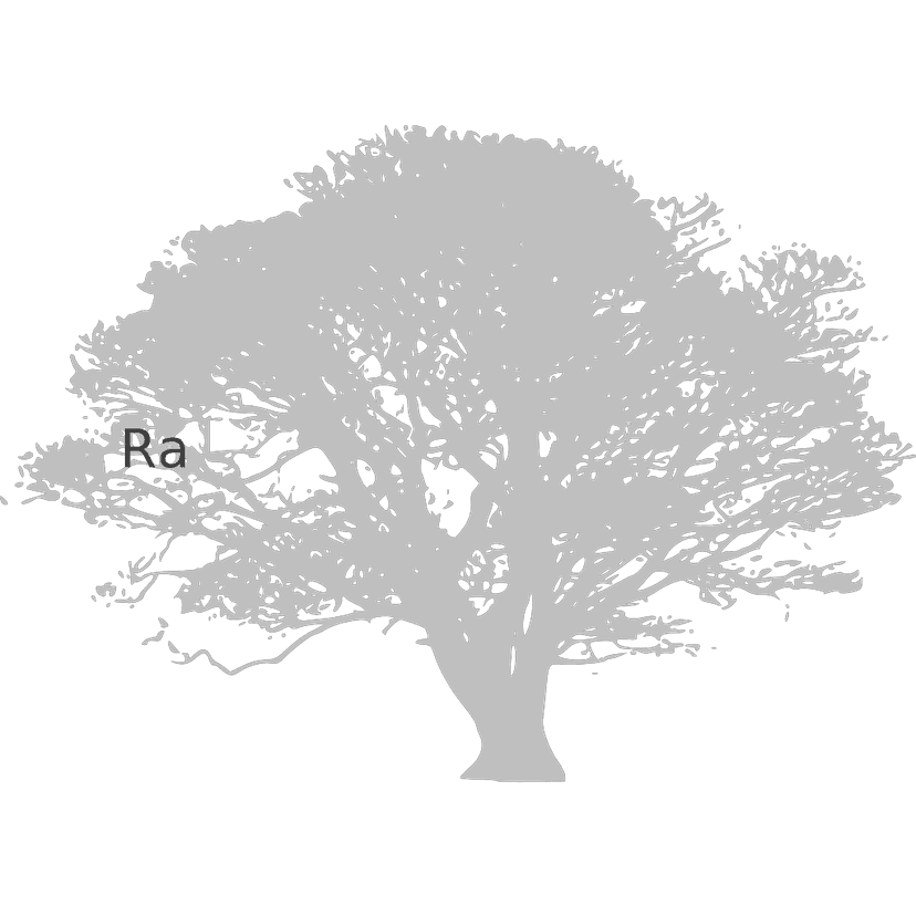 Bird Stand Tree Vine Silhouette clipart preview