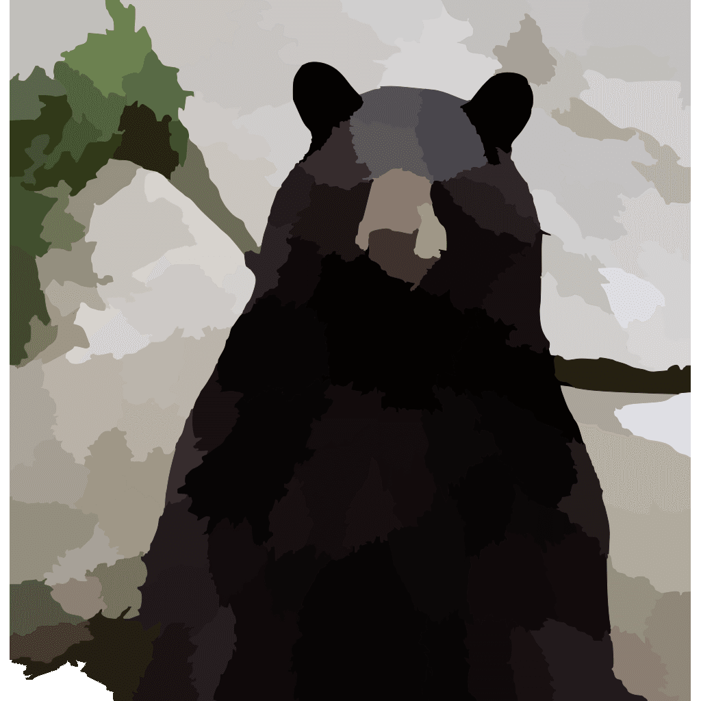 Black Bear Drawing Transparent Png clipart preview