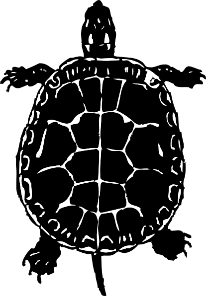 Black Turtle Outline clipart preview