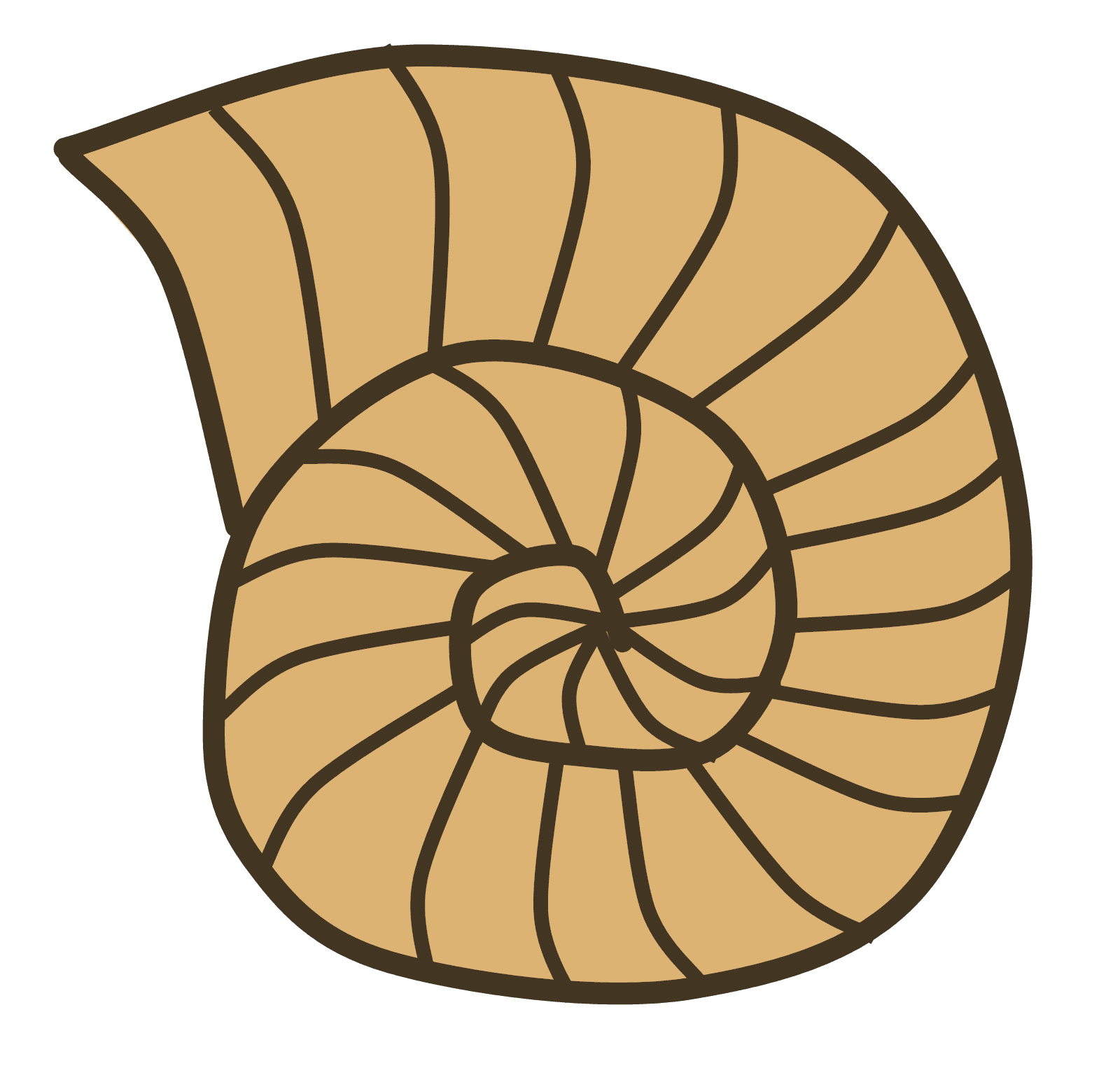 Brown Sea Shell Silhouette clipart preview