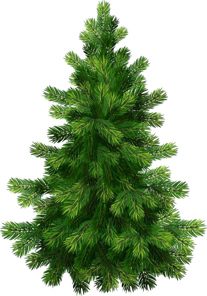 Christmas Tree Picture clipart preview