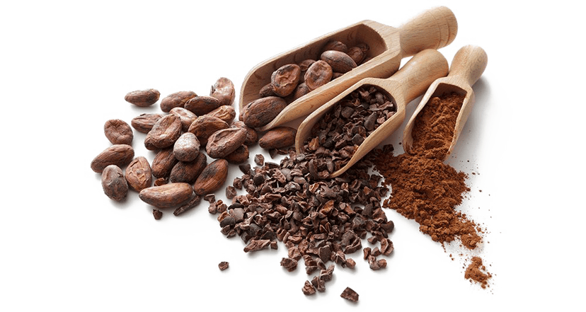 Cocoa Beans Clipart clipart preview