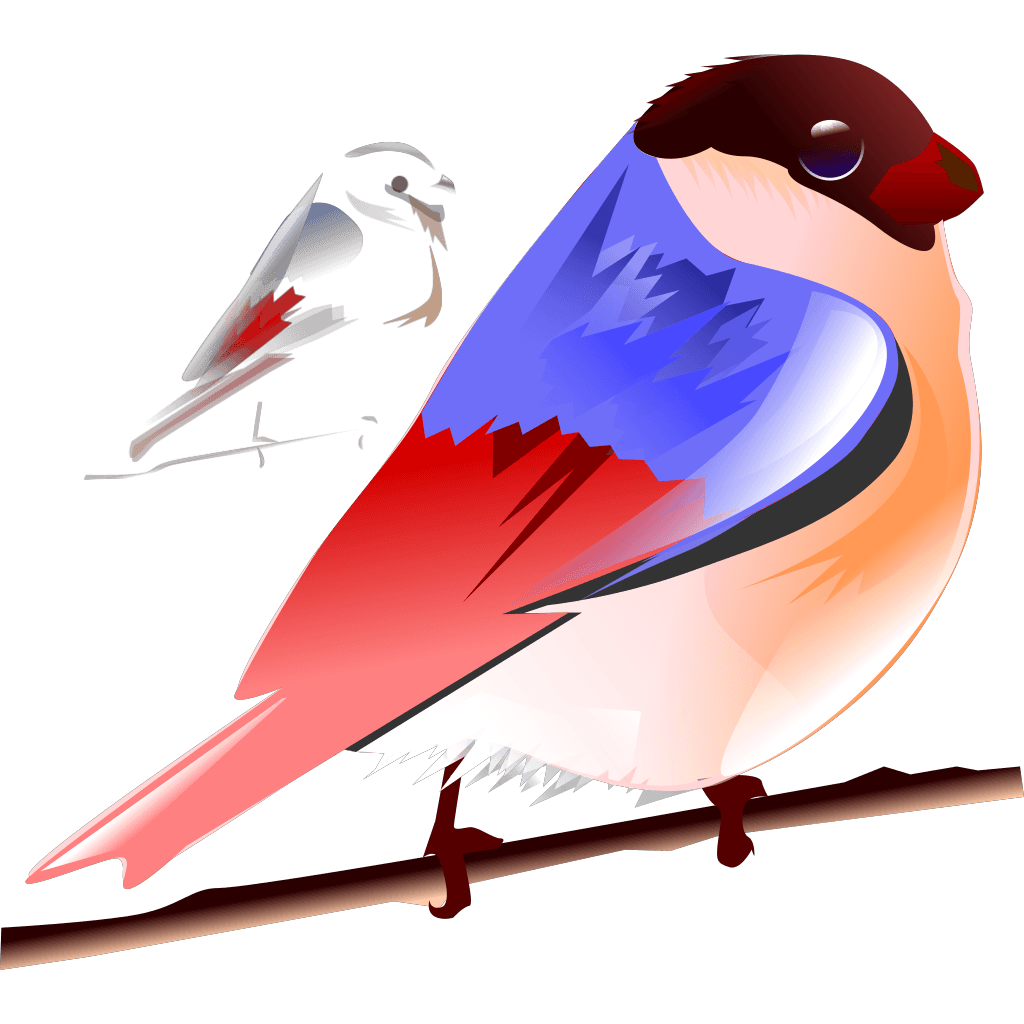 Colorful Bird clipart preview