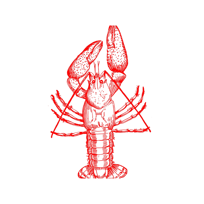 Crawfish animal clipart preview