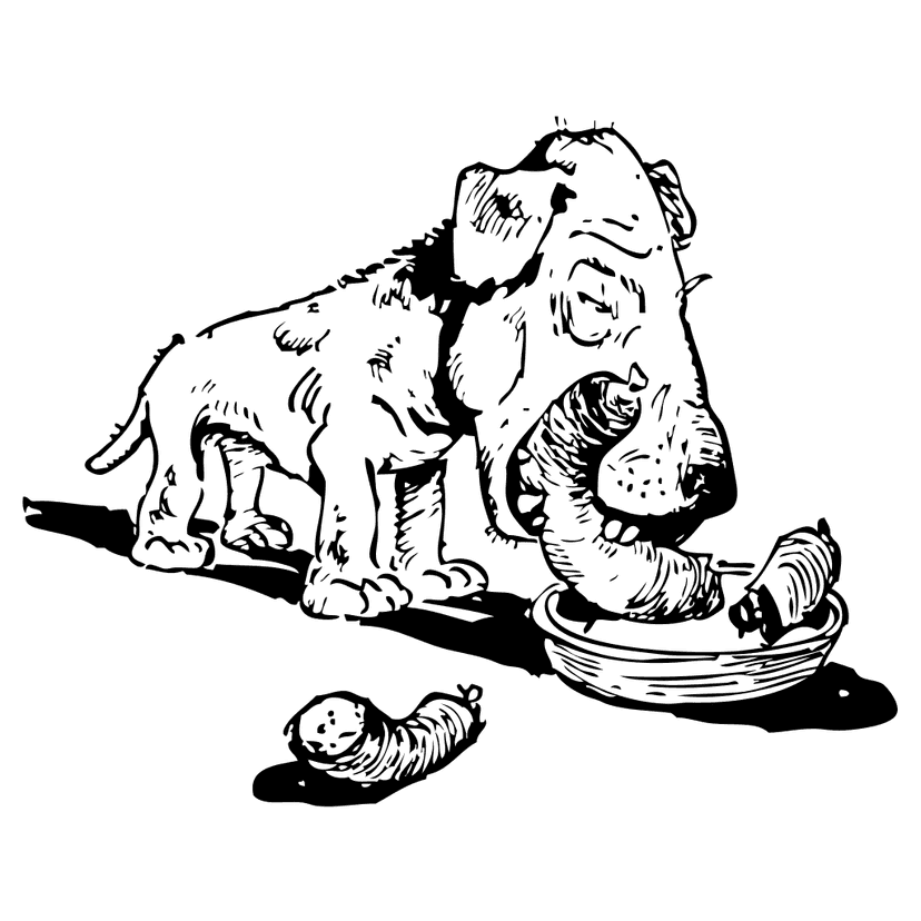 Dog Eating Sausage Drawing  clipart preview