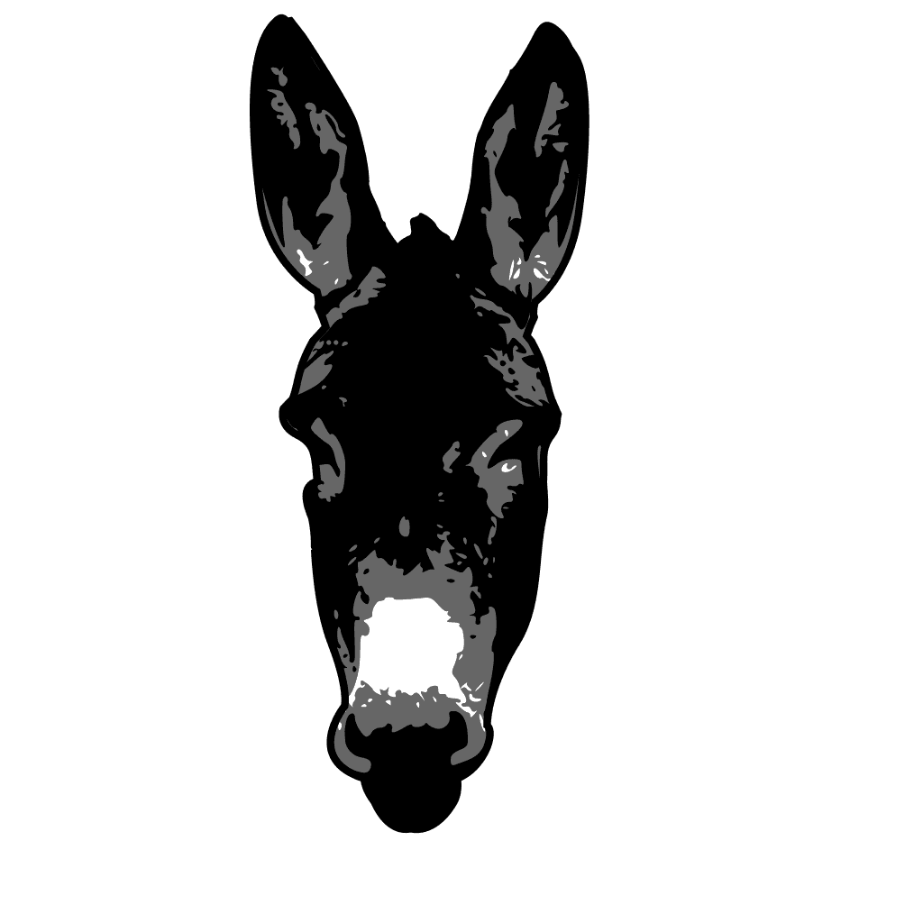 Donkey Head Drawing  clipart preview