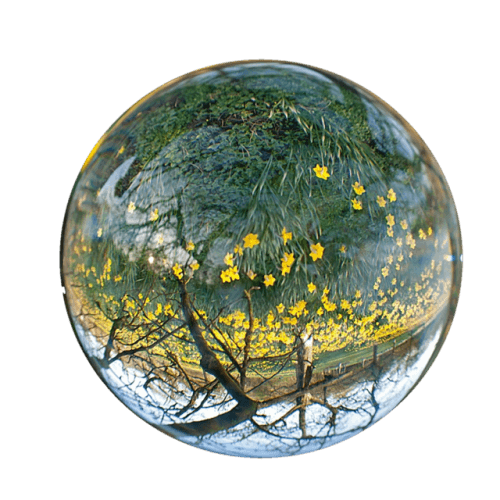 Earth Nature PNG Transparent clipart preview