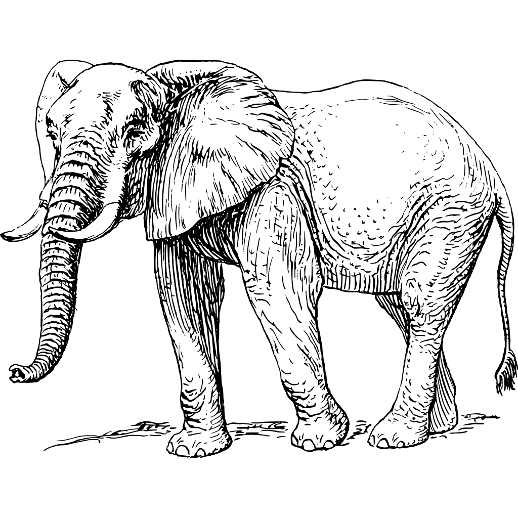 Elephant Outline  clipart preview