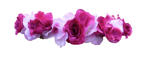 Flower Crown PNG Transparent clipart preview