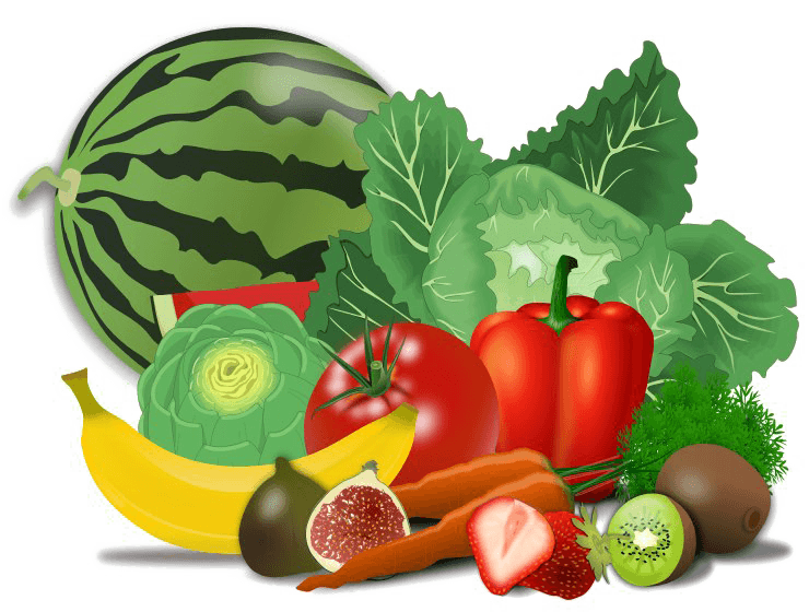 Fresh Food PNG clipart preview