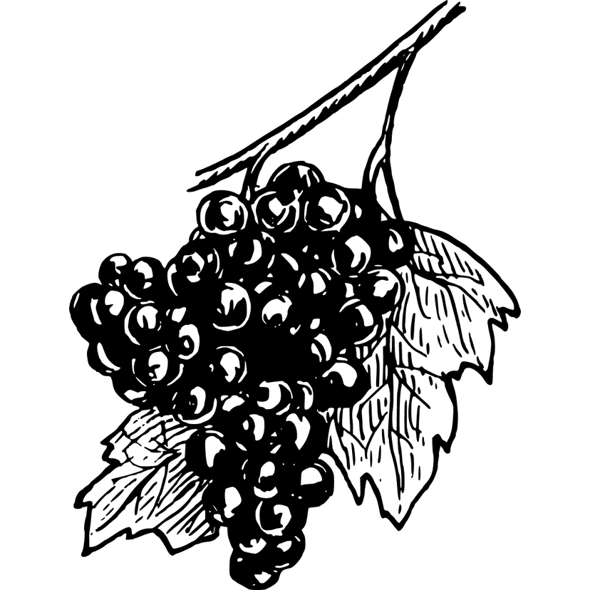 Grapes Fruit Clipart for Wine clipart preview