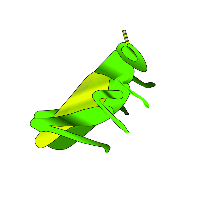 Green Cricket Animal clipart preview