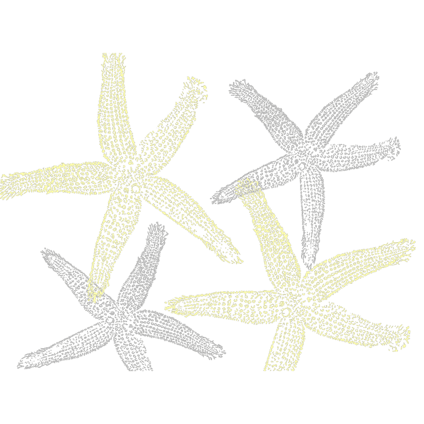 Grey Starfish Print clipart preview