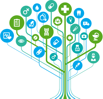 Healthcare Tree Transparent PNG clipart preview