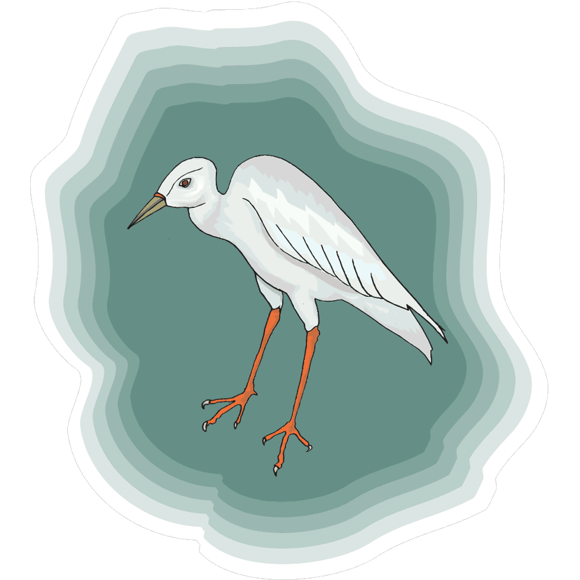 Heron Bird Green Background clipart preview